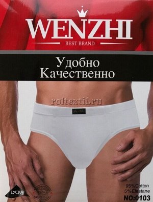 Плавки мужские "Wenzhi 0103"