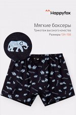 Happy Fox, Трусы для мальчика Happy Fox