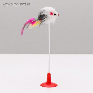 Дразнилка "Мышь на присоске", искусственный мех с перьями, 20 см, микс цветов