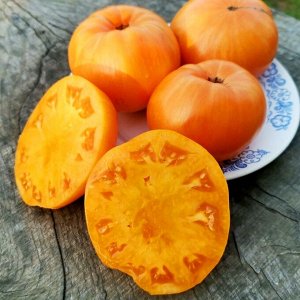 Помидоры Оранжевый Джаз — Orange Jazz Tomato