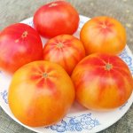 Помидоры Головокружительный Русский — Russian Swirl Dwarf Tomato