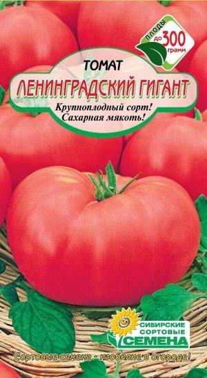 Ленинградский гигант томат  20шт Р (ссс)