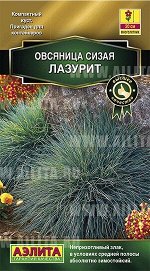 Овсяница Лазурит сизая 5шт (а)