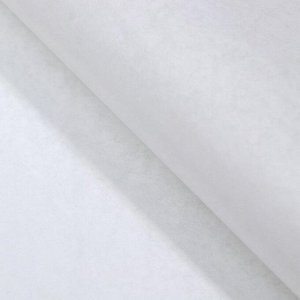 Пергамент силиконизированный в листах, без печати, для выпечки, 0,38 х 0,42 м