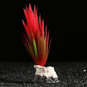 Растение искусственное аквариумное на подставке с ракушкой, 7 х 4,5 х 13,5 см, красное