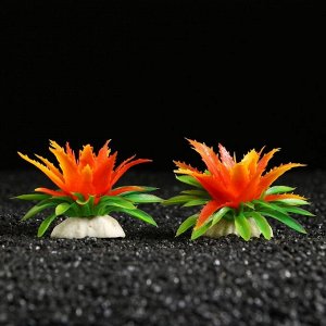 Растение искусственное аквариумное, 11х9х6 см, (набор 2 шт), красно-оранжевый