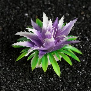 Растение искусственное аквариумное, 11х9х6 см, (набор 2 шт), фиолетовый
