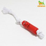Игрушка &quot;Брутальная сосиска на верёвке&quot; для собак, 14 см