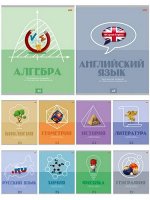 Комплект предметных тетрадей 48л. 10 шт. в пленке &quot;КОД ДОСТУПА&quot; втор. блок 48-9090 Проф-Пресс {Россия}