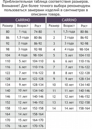 Бомбер для мальчика на молнии Carrinos