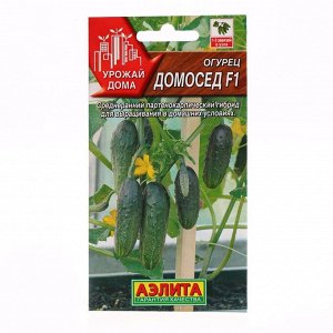 Агрофирма АЭЛИТА Семена огурца &quot;Домосед&quot;, F1, 7 шт.