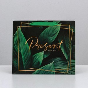 Пакет ламинированный горизонтальный «Present for you», ML 27 ? 23 ? 11,5 см