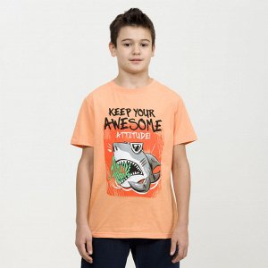 Pelican BFT4267 футболка для мальчиков