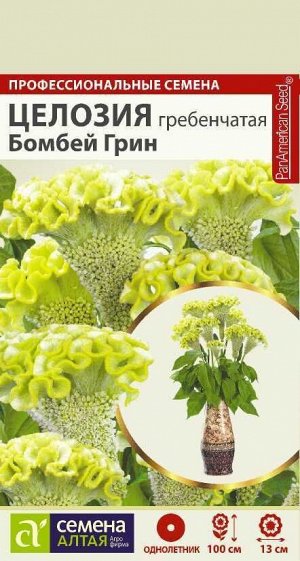 Целозия Бомбей Грин гребенчатая/Сем Алт/цп 3 шт. НОВИНКА
