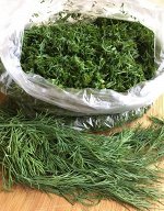 Укроп Для Заморозки (УД) 2 гр
