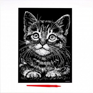 Гравюра «Котёнок» с металлическим эффектом «серебро» А4
