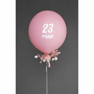 Наклейки на воздушные шары «День рождения», 21 ? 29,7 см