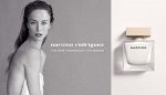 Narciso  EDP