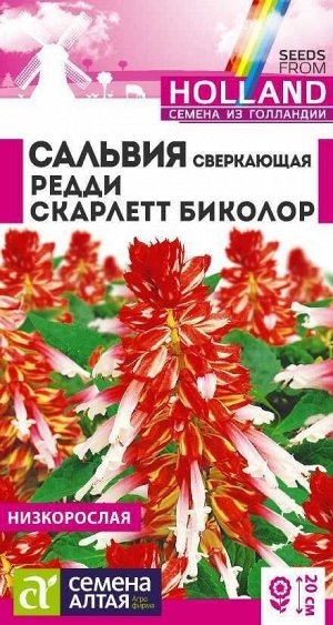 Сальвия Редди Скарлет биколор сверкающая/Сем Алт/цп 5 шт. Голландия НОВИНКА