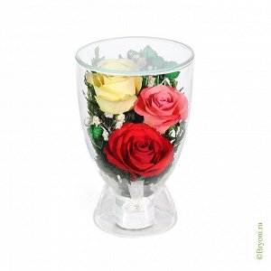 CuLR5с красные,кремовые,розовые розы