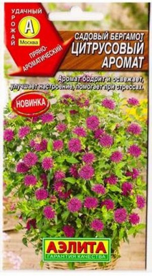 Бергамот садовый Цитрусовый аромат (Код: 81648)