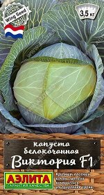 Капуста б/к Виктория F1 (Код: 89392)