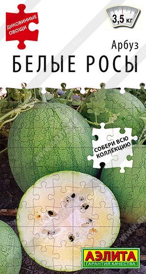 Арбуз Белые росы (Код: 89574)