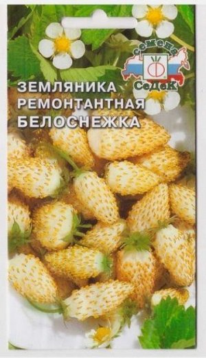 Земляника Белоснежка (Код: 70611)