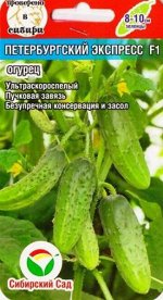 Огурец Петербургский экспресс F1 (Код: 83355)