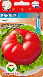 Томат Карапуз (Код: 83166)