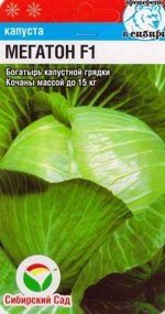 Капуста б/к Мегатон F1 (Код: 86325)