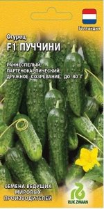 Огурец Пуччини F1 (Код: 88264)