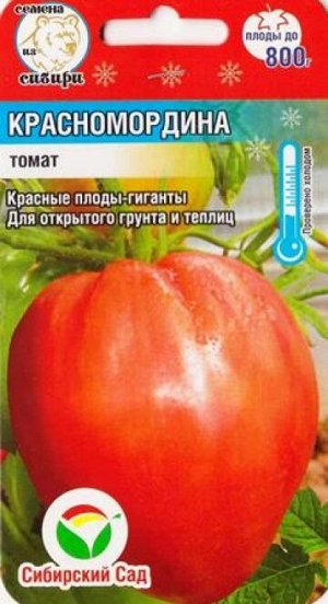 Томат Красномордина (Код: 83169)