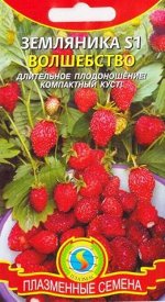 Клубника S1 Волшебство (Код: 74485)