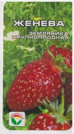 Клубника Женева (Код: 9656)