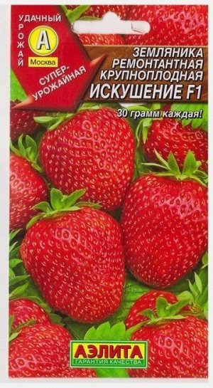 Клубника Искушение F1 (Код: 8450)