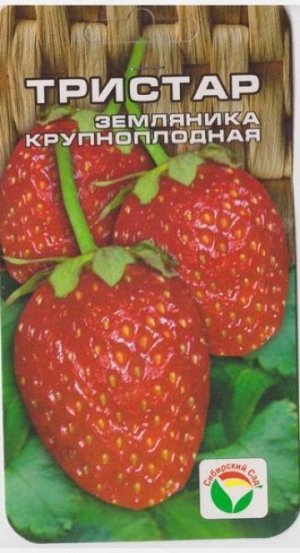 Клубника Тристар (Код: 9659)
