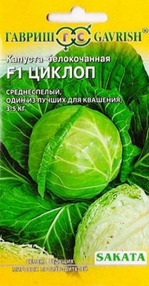 Капуста б/к Циклоп F1 (Код: 84611)