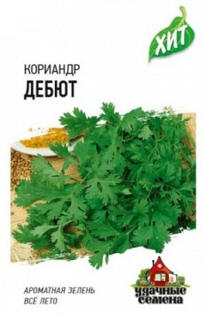 Кориандр Дебют ХИТ (Код: 87880)