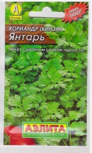 Кориандр Янтарь (Код: 7573)