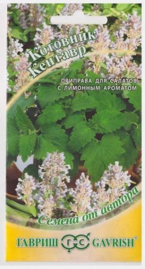Котовник Кентавр (Код: 9926)