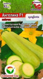 Кабачок Ангелина F1 (Код: 83206)