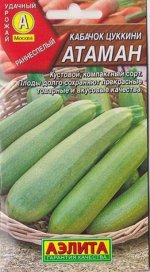Кабачок Атаман (Код: 14399)