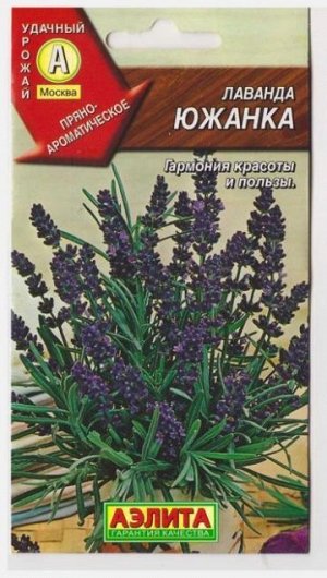 Лаванда Южанка (Код: 7914)