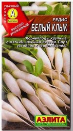 Редис Белый Клык (Код: 80205)