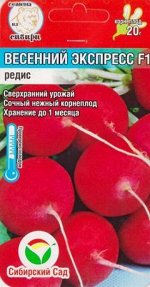 Редис Весенний Экспресс (Код: 83200)