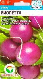 Редис Виолетта (Код: 84977)