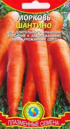 Морковь Шантино (Код: 85563)