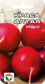 Редис Краса Алтая (Код: 17293)