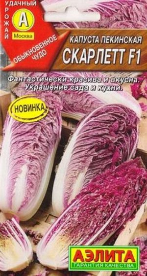 Капуста пек. Скарлетт F1 (Код: 86734)